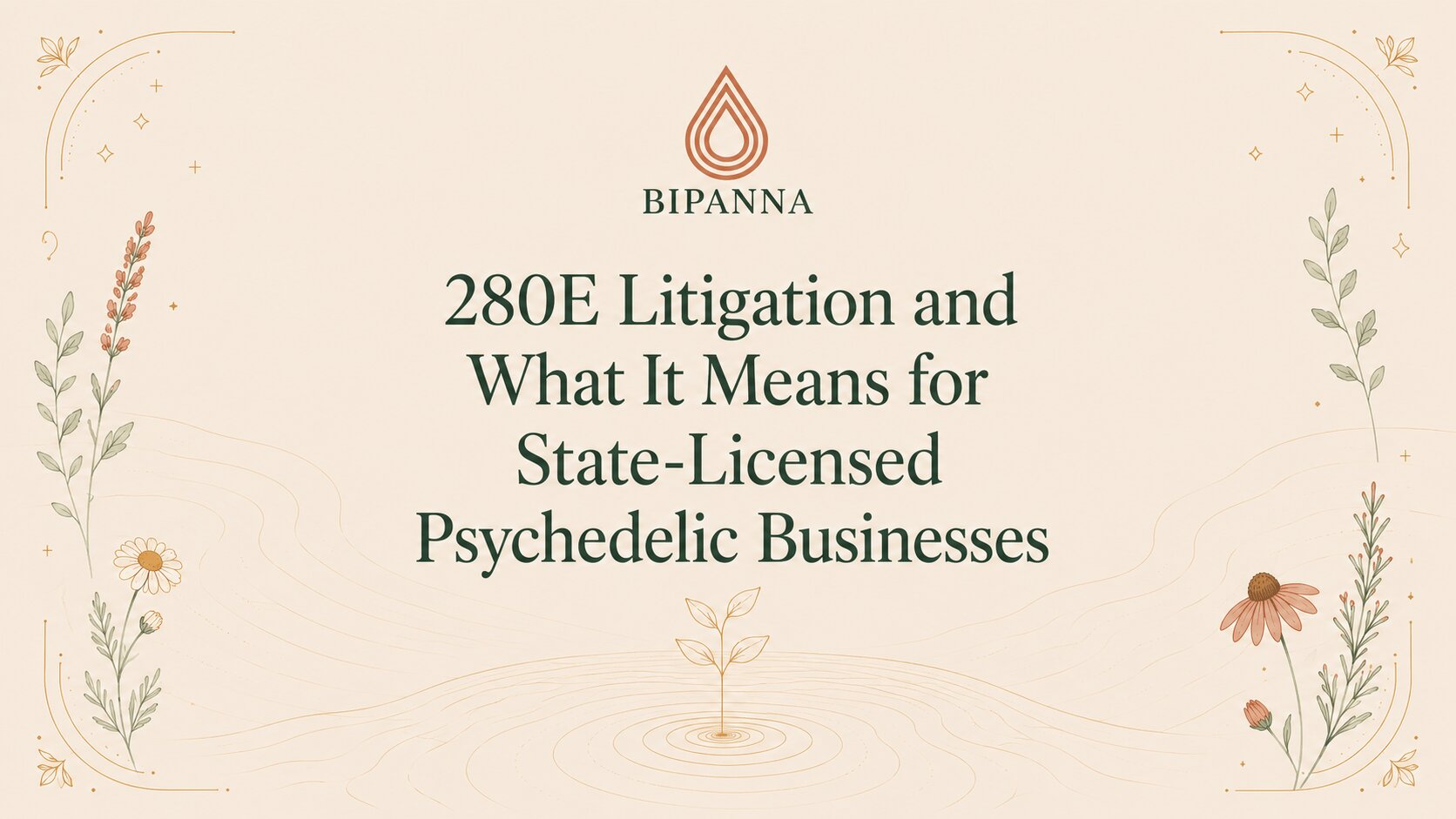 280E Litigation and What It Means for State-Licensed Psychedelic Businesses